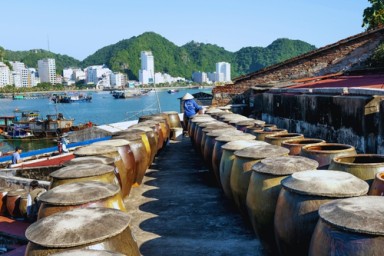 Lan Ha bay – Viet Hai village – Ba Trai Dao islets (B, L, D)